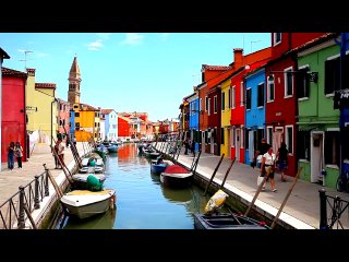 venice in flower.